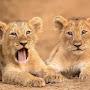 @sohelpathan4589