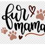 @furbabymom3159