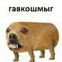 @bezdar222