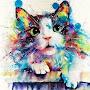 @sweet_cat4526