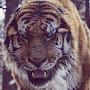 @ДауренНурахметов-ы3р