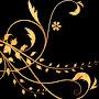 @alira-art4483