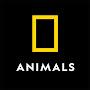 @NatGeoAnimals