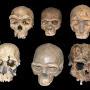 @ForensicAnthropologist