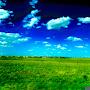@C.J-t5768