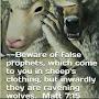 @Tribeofisrael1619