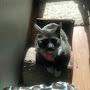 @MickeyMouse-bo5hj