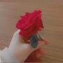 @FariWritez98