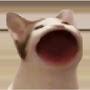 @PopCatEvade