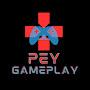 Pey GamePlay