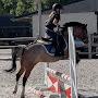 @Paulien-the-pony