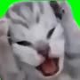 @Hinaryo