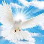 @The1SpiritofLife