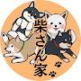 @shibasan8822