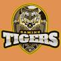 TG-Tigers gaming