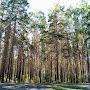 @АлексейАлексей-щ5к