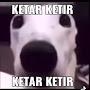 ketar-ketir