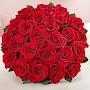 @noureenraza4792