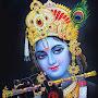 @manjudharmajan9440