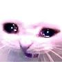 @Carbon-cringe-human