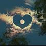@royazendegany9857