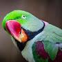 @mitthuthealexgendrineparro1228