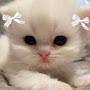 @twiksis_play123