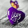 @mohamedaffan6696