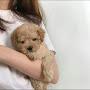 @samoyiddinakramov2132