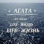 @agathabreusandlife3851