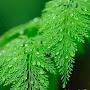 @informationandupdate6876