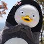 @user-xd7wv7gw7e
