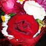 @rowidaomar21
