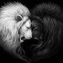 @dmitriy1552
