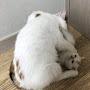 @이거누가쓰는거냐