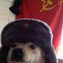 @ComunistDog_