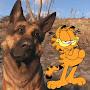 @The_human_garfield