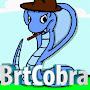 @brtcobra