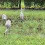 @alexsolomon-fl6nf