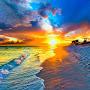 @katyarnold6757
