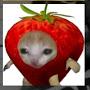 @temaste2