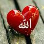 @madni-A
