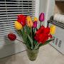 @Zvezda77-d7r
