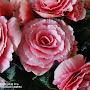 @inna9598