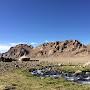 @pamir-alichortv7291