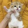@힐엔토