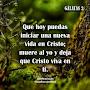 @AdinaBarboza-b1r