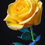 @johnkellum1980