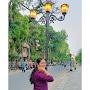 @nehadas2047