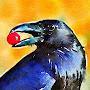 @Corvus2222